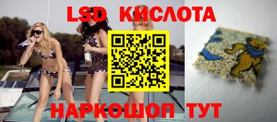 ПСИЛОЦИБИНОВЫЕ ГРИБЫ Тара