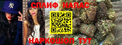 ПСИЛОЦИБИНОВЫЕ ГРИБЫ Тара