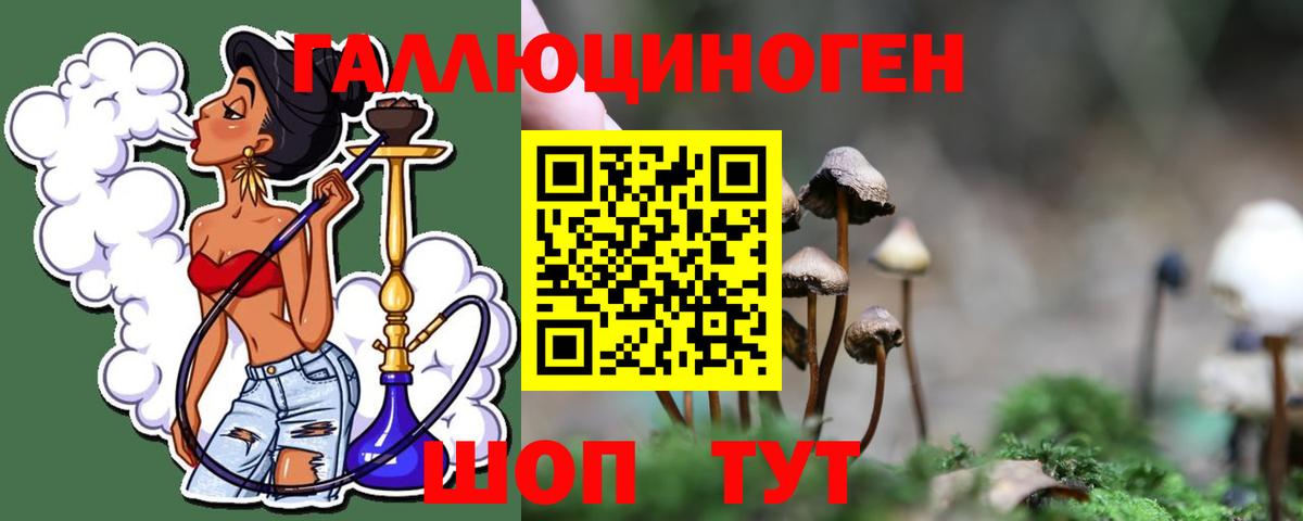 Псилоцибиновые грибы GOLDEN TEACHER  Галлюциногенные грибы Magic Shrooms  Новоуральск  закладка  Вход с VPN 